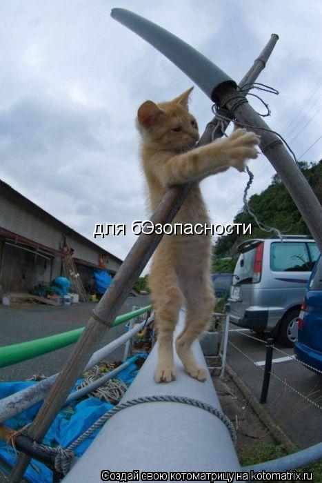 Котоматрица: для бЭзопасности