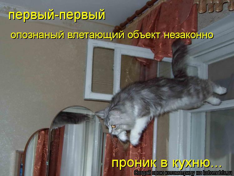 проник в кухню... первый-первый опознаный влетающий объект незаконно... Котоматрица: проник в кухню... первый-первый опознаный влетающий объект незаконно
