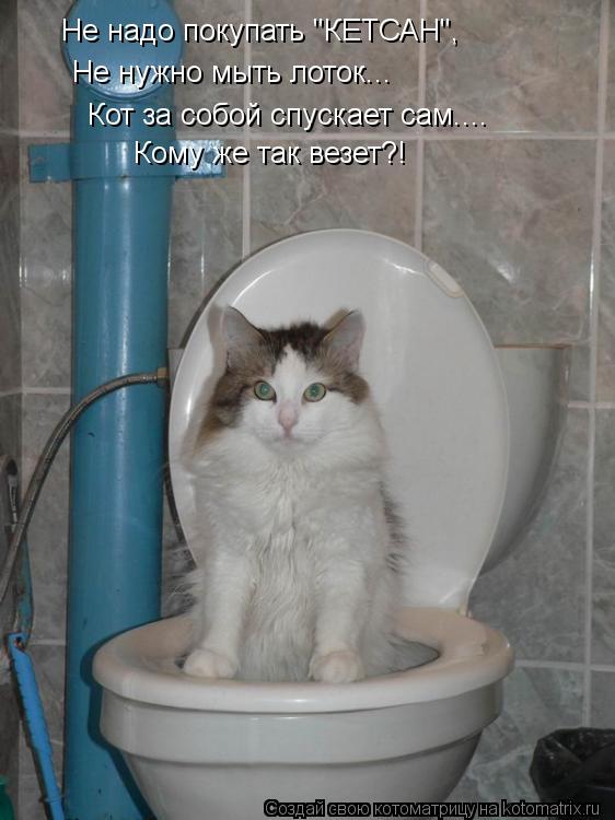 Не надо покупать "КЕТСАН", Не нужно мыть лоток... Кот за собой спускает сам.... Кому же так везет?!... Котоматрица: Не надо покупать "КЕТСАН", Не нужно мыть лоток... Кот за собой спускает сам.... Кому же так везет?!
