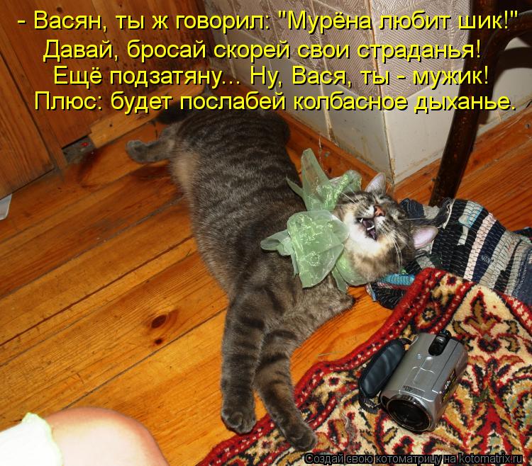- Васян, ты ж говорил: "Мурёна любит шик!" Давай, бросай скорей свои страданья! Ещё подзатяну... Ну, ... Котоматрица: - Васян, ты ж говорил: "Мурёна любит шик!" Давай, бросай скорей свои страданья! Ещё подзатяну... Ну, Вася, ты - мужик! Плюс: будет послабей колбасн