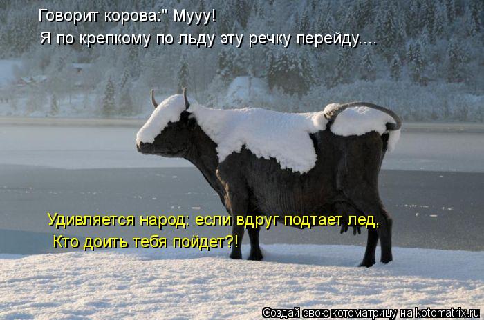 Говорит корова:" Мууу! Я по крепкому по льду эту речку перейду.... Удивляется народ: если вдруг подта... Котоматрица: Говорит корова:" Мууу! Я по крепкому по льду эту речку перейду.... Удивляется народ: если вдруг подтает лед, Кто доить тебя пойдет?!