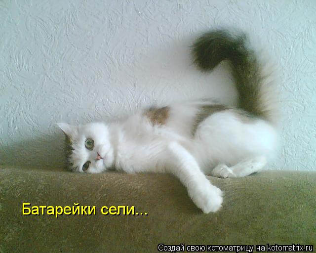 Батарейки сели...... Котоматрица: Батарейки сели...