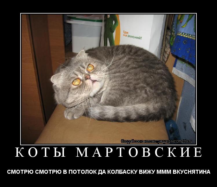 Котоматрица: КОТЫ МАРТОВСКИЕ СМОТРЮ СМОТРЮ В ПОТОЛОК ДА КОЛБАСКУ ВИЖУ МММ ВКУСНЯТИНА