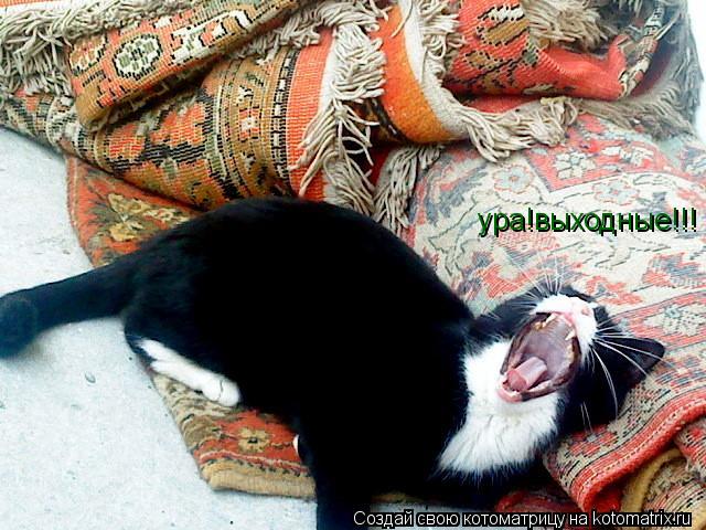 ура!выходные!!!... Котоматрица: ура!выходные!!!