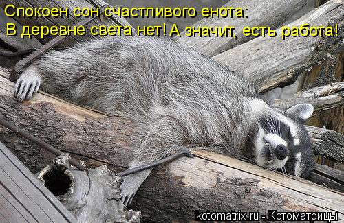 Спокоен сон счастливого енота: В деревне света нет! А значит, есть работа!... Котоматрица: Спокоен сон счастливого енота: В деревне света нет! А значит, есть работа!