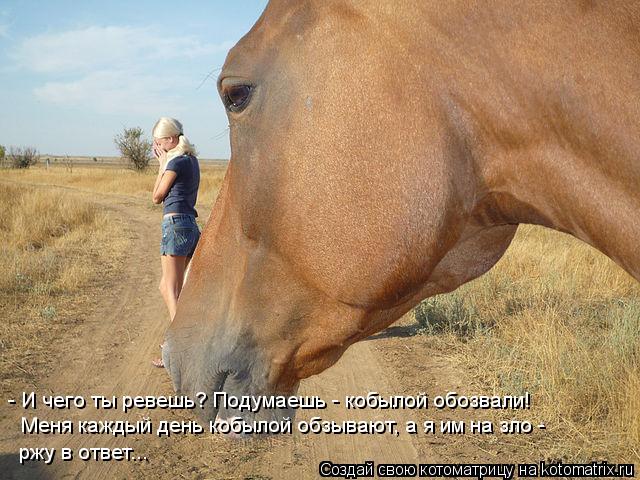 - И чего ты ревешь? Подумаешь - кобылой обозвали! Меня каждый день кобылой обзывают, а я им на зло - ... Котоматрица: - И чего ты ревешь? Подумаешь - кобылой обозвали! Меня каждый день кобылой обзывают, а я им на зло - ржу в ответ...