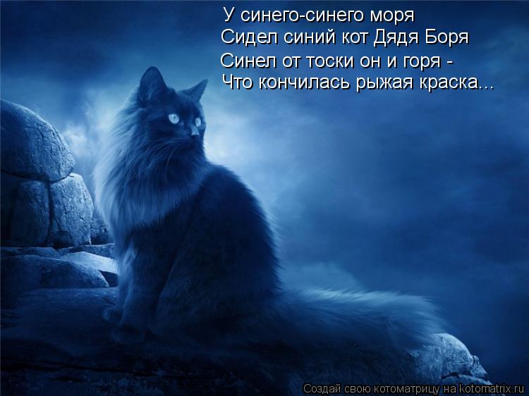 У синего-синего моря Сидел синий кот Дядя Боря Синел от тоски он и горя - Что кончилась рыжая краска... Котоматрица: У синего-синего моря Сидел синий кот Дядя Боря Синел от тоски он и горя - Что кончилась рыжая краска...