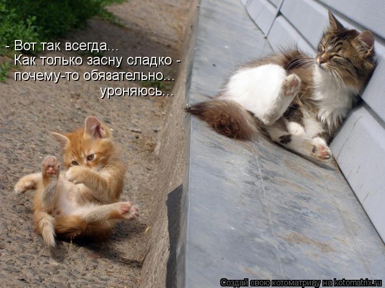 - Вот так всегда... Как только засну сладко - почему-то обязательно... уроняюсь...... Котоматрица: - Вот так всегда... Как только засну сладко - почему-то обязательно... уроняюсь...