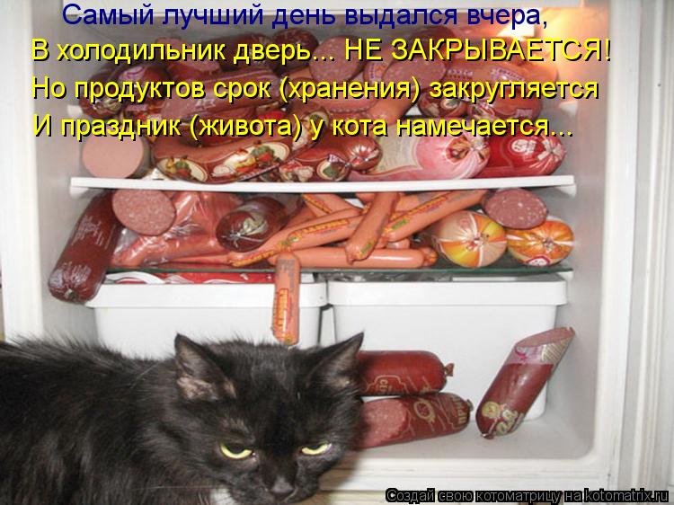 Самый лучший день выдался вчера, В холодильник дверь... НЕ ЗАКРЫВАЕТСЯ! Но продуктов срок (хранения) ... Котоматрица: Самый лучший день выдался вчера, В холодильник дверь... НЕ ЗАКРЫВАЕТСЯ! Но продуктов срок (хранения) закругляется И праздник (живота) у кота н