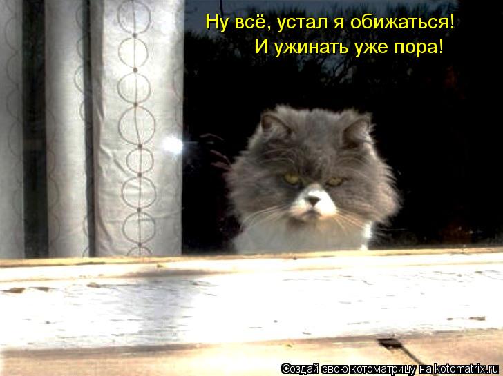 Котоматрица: Ну всё, устал я обижаться! И ужинать уже пора!