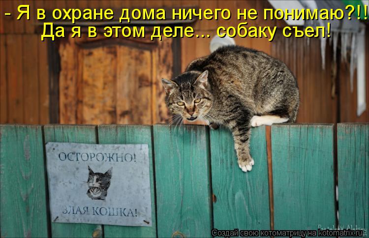 - Я в охране дома ничего не понимаю?!! Да я в этом деле... собаку съел!... Котоматрица: - Я в охране дома ничего не понимаю?!! Да я в этом деле... собаку съел!