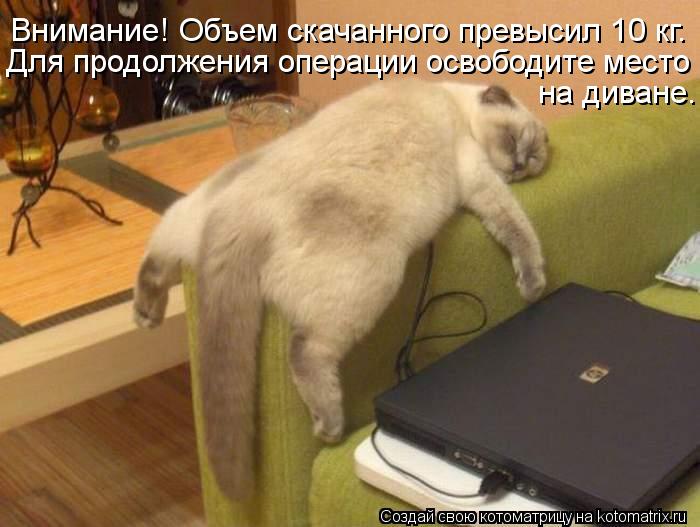 Внимание! Объем скачанного превысил 10 кг. Для продолжения операции освободите место на диване.... Котоматрица: Внимание! Объем скачанного превысил 10 кг. Для продолжения операции освободите место на диване.