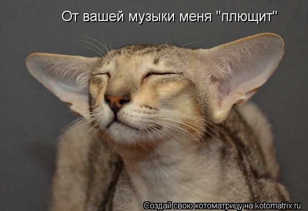 От вашей музыки меня "плющит"... Котоматрица: От вашей музыки меня "плющит"