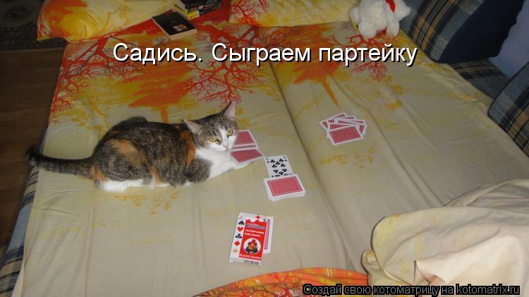 Садись. Сыграем партейку... Котоматрица: Садись. Сыграем партейку