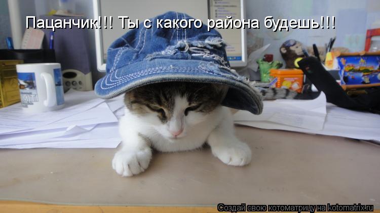 Пацанчик!!! Ты с какого района будешь!!!... Котоматрица: Пацанчик!!! Ты с какого района будешь!!!