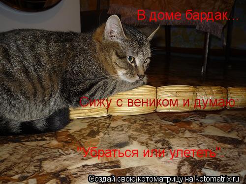 В доме бардак... Сижу с веником и думаю: "Убраться или улететь".... Котоматрица: В доме бардак... Сижу с веником и думаю: "Убраться или улететь".