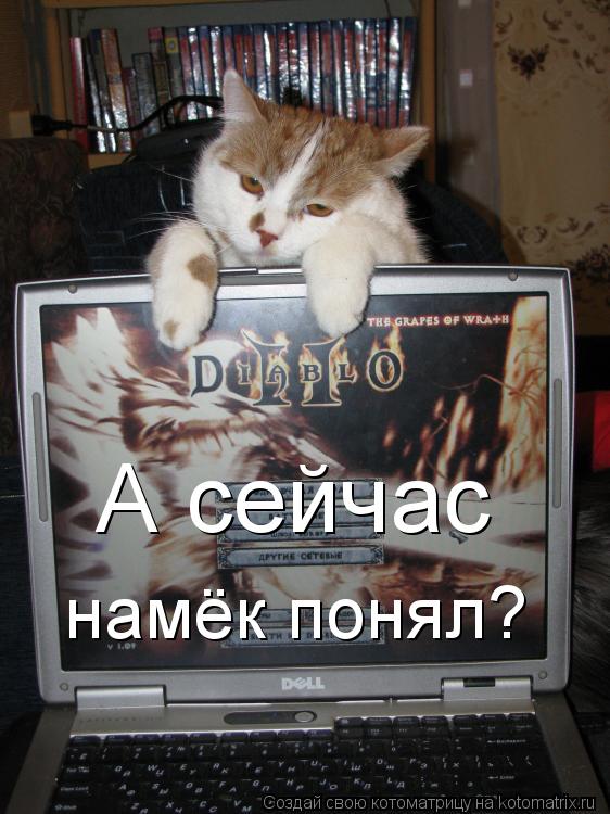 А сейчас намёк понял?... Котоматрица: А сейчас намёк понял?