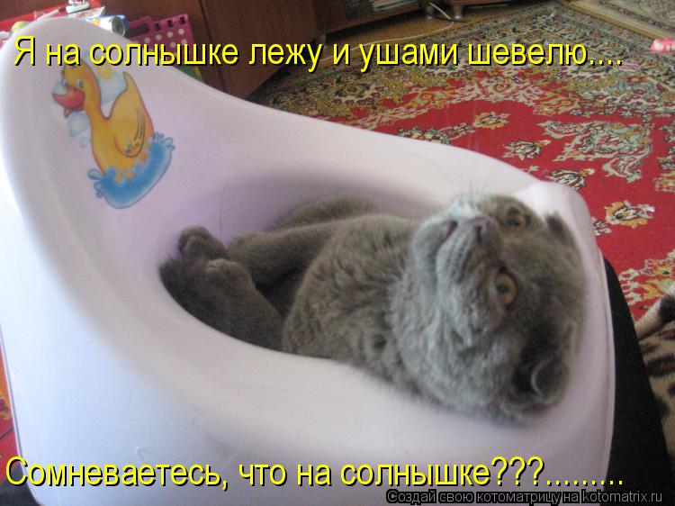 Я на солнышке лежу и ушами шевелю.... Сомневаетесь, что на солнышке???............ Котоматрица: Я на солнышке лежу и ушами шевелю.... Сомневаетесь, что на солнышке???.........