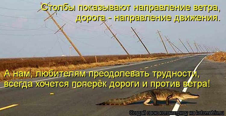 Столбы показывают направление ветра, дорога - направление движения. всегда хочется поперек дороги и п... Котоматрица: Столбы показывают направление ветра, дорога - направление движения. всегда хочется поперек дороги и против ветра! А нам, любителям преодоле