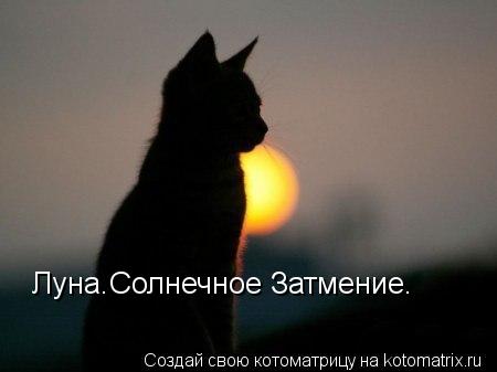 Луна.Солнечное Затмение.... Котоматрица: Луна.Солнечное Затмение.