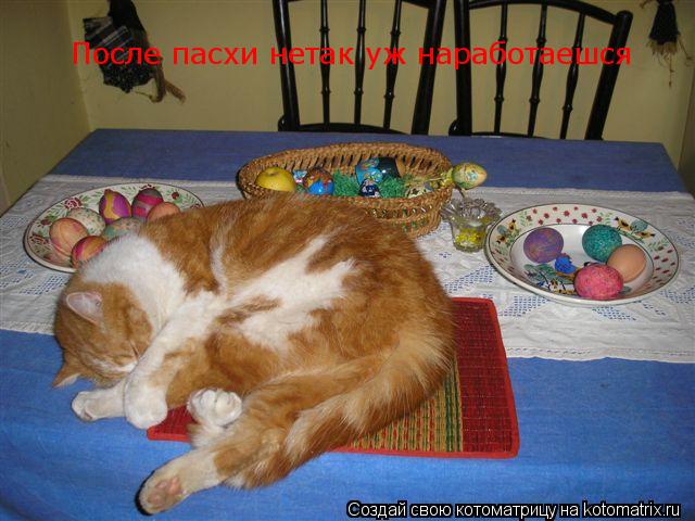 После пасхи нетак уж наработаешся... Котоматрица: После пасхи нетак уж наработаешся