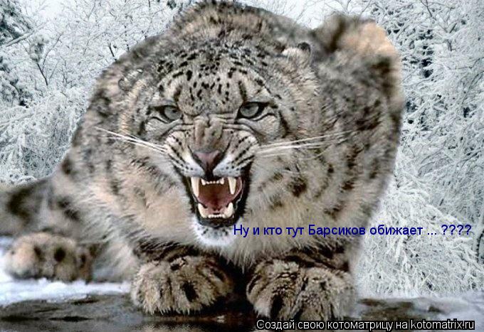 Ну и кто тут Барсиков обижает ... ????... Котоматрица: Ну и кто тут Барсиков обижает ... ????