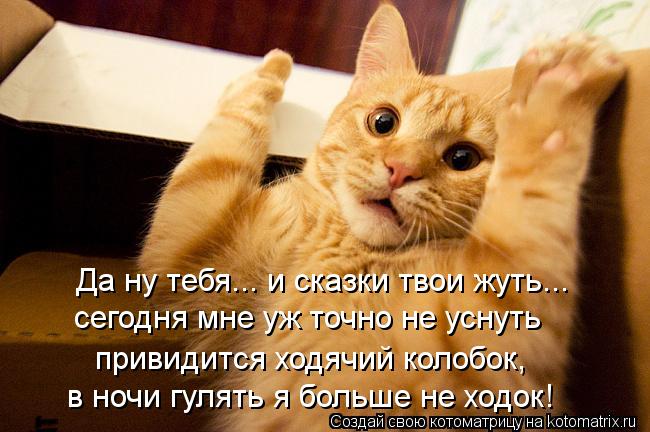 Да ну тебя... и сказки твои жуть... сегодня мне уж точно не уснуть привидится ходячий колобок, в ночи... Котоматрица: Да ну тебя... и сказки твои жуть... сегодня мне уж точно не уснуть привидится ходячий колобок, в ночи гулять я больше не ходок!