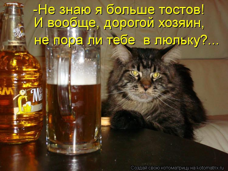 -Не знаю я больше тостов! И вообще, дорогой хозяин, не пора ли тебе в люльку?...... Котоматрица: -Не знаю я больше тостов! И вообще, дорогой хозяин, не пора ли тебе в люльку?...