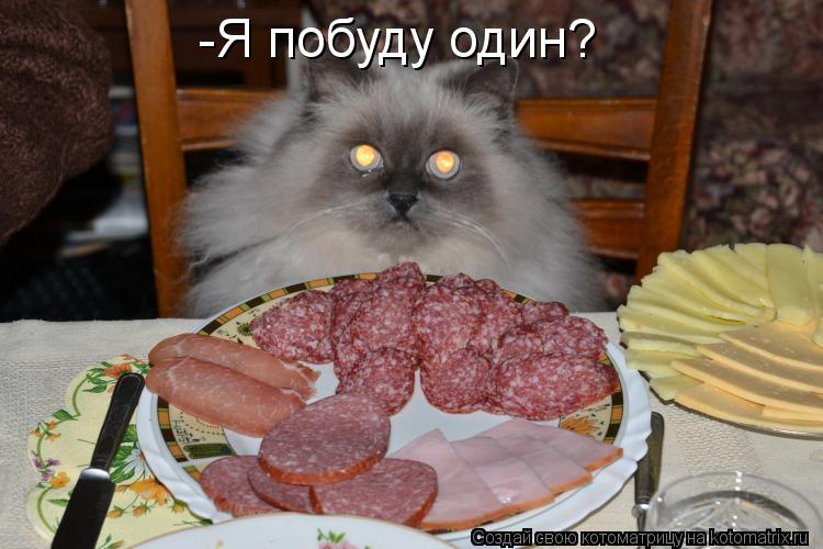 -Я побуду один?... Котоматрица: -Я побуду один?