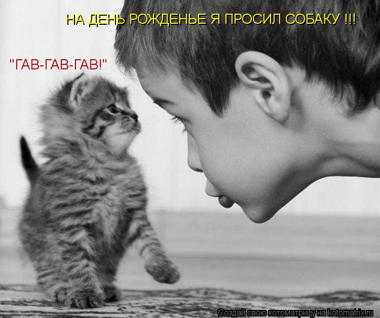 НА ДЕНЬ РОЖДЕНЬЕ Я ПРОСИЛ СОБАКУ !!! "ГАВ-ГАВ-ГАВ!"... Котоматрица: НА ДЕНЬ РОЖДЕНЬЕ Я ПРОСИЛ СОБАКУ !!! "ГАВ-ГАВ-ГАВ!"