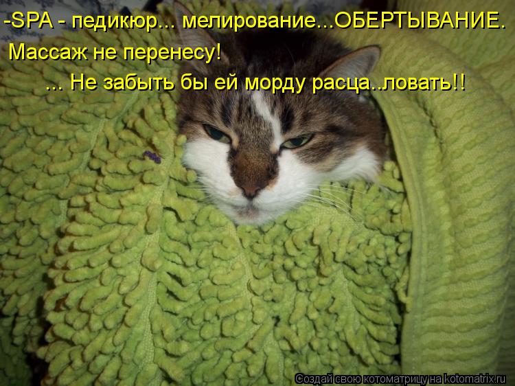 -SPA - педикюр... мелирование...ОБЕРТЫВАНИЕ. Массаж не перенесу! ... Не забыть бы ей морду расца..ло... Котоматрица: -SPA - педикюр... мелирование...ОБЕРТЫВАНИЕ. Массаж не перенесу! ... Не забыть бы ей морду расца..ловать!!