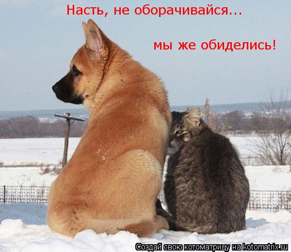 Насть, не оборачивайся... мы же обиделись!... Котоматрица: Насть, не оборачивайся... мы же обиделись!