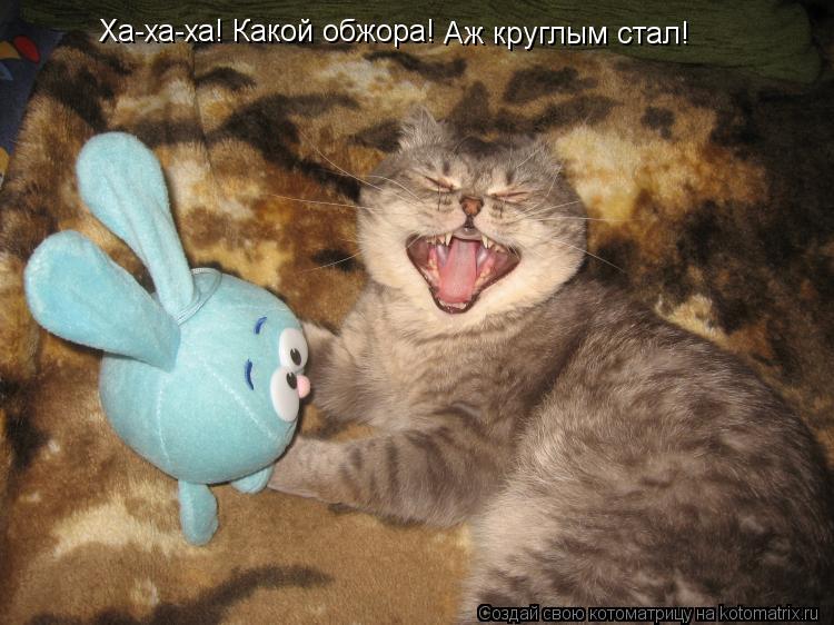 Ха-ха-ха! Какой обжора! Аж круглым стал!... Котоматрица: Ха-ха-ха! Какой обжора! Аж круглым стал!