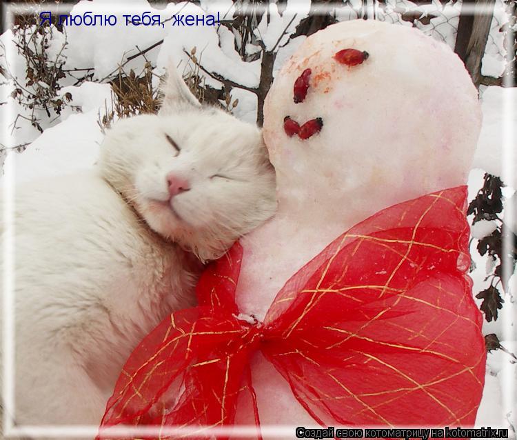 Я люблю тебя, жена!... Котоматрица: Я люблю тебя, жена!