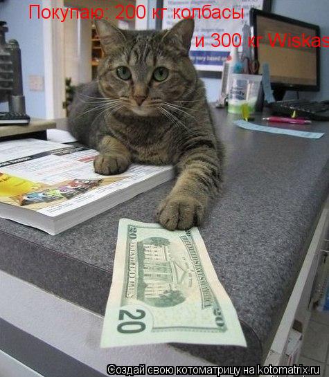 Покупаю: 200 кг колбасы и 300 кг Wiskas... Котоматрица: Покупаю: 200 кг колбасы и 300 кг Wiskas