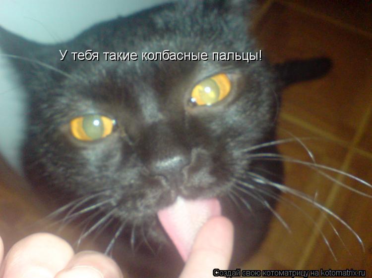 У тебя такие колбасные пальцы!... Котоматрица: У тебя такие колбасные пальцы!