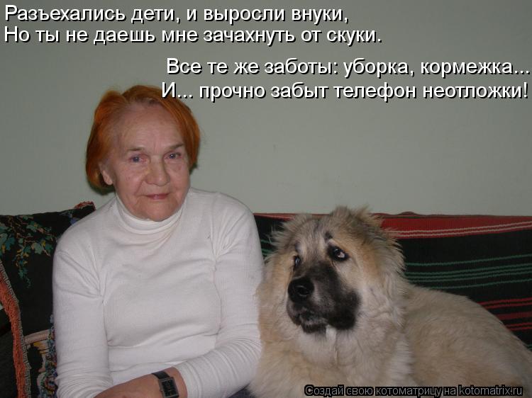 Разъехались дети, и выросли внуки, Но ты не даешь мне зачахнуть от скуки. Все те же заботы: уборка, к... Котоматрица: Разъехались дети, и выросли внуки, Но ты не даешь мне зачахнуть от скуки. Все те же заботы: уборка, кормежка... И... прочно забыт телефон неотло