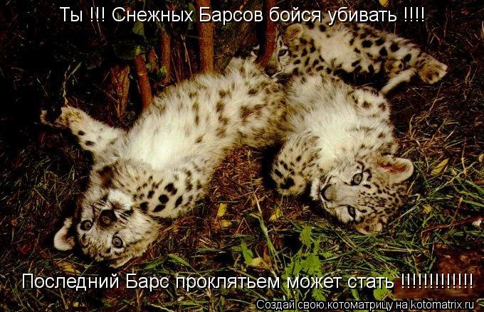 Ты !!! Снежных Барсов бойся убивать !!!! Последний Барс проклятьем может стать !!!!!!!!!!!!!... Котоматрица: Ты !!! Снежных Барсов бойся убивать !!!! Последний Барс проклятьем может стать !!!!!!!!!!!!!