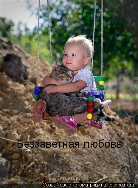 Беззаветная любовь... Котоматрица: Беззаветная любовь