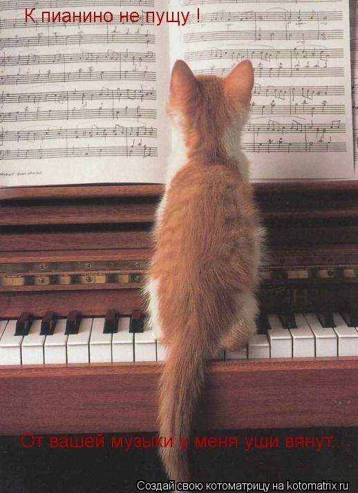 Котоматрица: К пианино не пущу ! От вашей музыки у меня уши вянут..