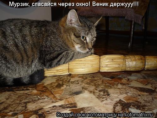 Мурзик, спасайся через окно! Веник держууу!!!... Котоматрица: Мурзик, спасайся через окно! Веник держууу!!!