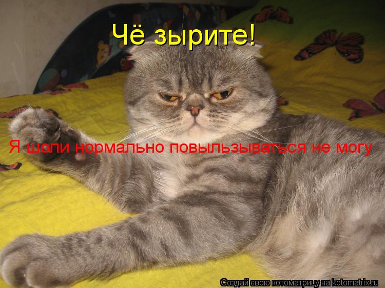 Я шоли нормально повыльзываться не могу Чё зырите!... Котоматрица: Я шоли нормально повыльзываться не могу Чё зырите!