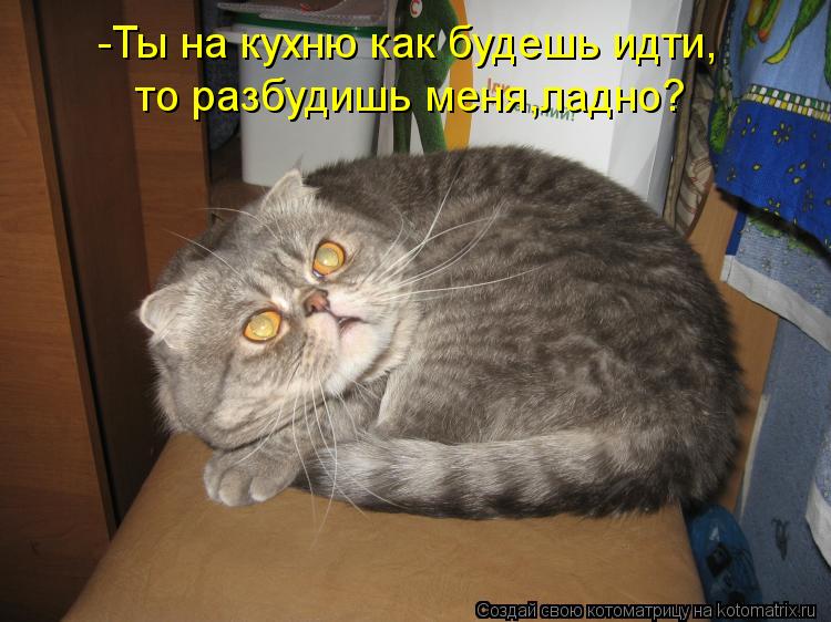 -Ты на кухню как будешь идти, то разбудишь меня,ладно?... Котоматрица: -Ты на кухню как будешь идти, то разбудишь меня,ладно?