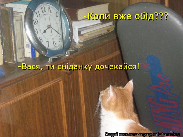 -Коли вже обiд??? -Вася, ти снiданку дочекайся!... Котоматрица: -Коли вже обiд??? -Вася, ти снiданку дочекайся!