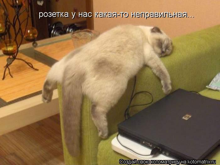 розетка у нас какая-то неправильная...... Котоматрица: розетка у нас какая-то неправильная...