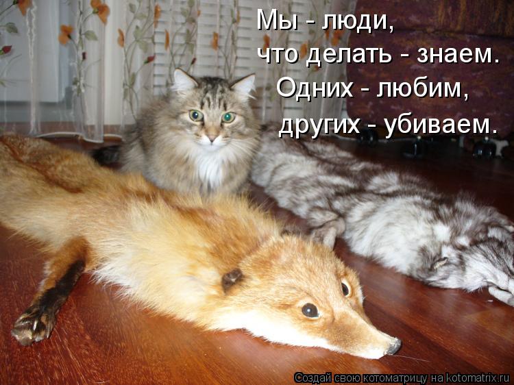 Мы - люди, что делать - знаем. Одних - любим, других - убиваем.... Котоматрица: Мы - люди, что делать - знаем. Одних - любим, других - убиваем.