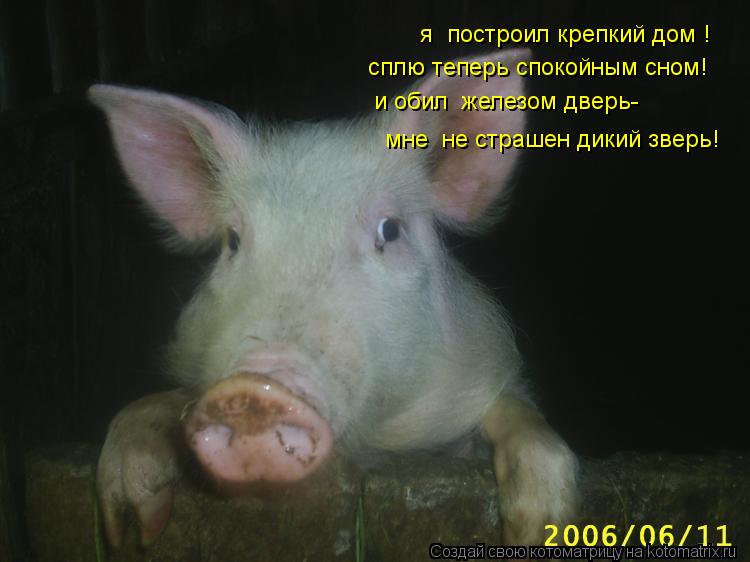 я построил крепкий дом ! сплю теперь спокойным сном! и обил железом дверь- мне не страшен дикий зв... Котоматрица: я построил крепкий дом ! сплю теперь спокойным сном! и обил железом дверь- мне не страшен дикий зверь!