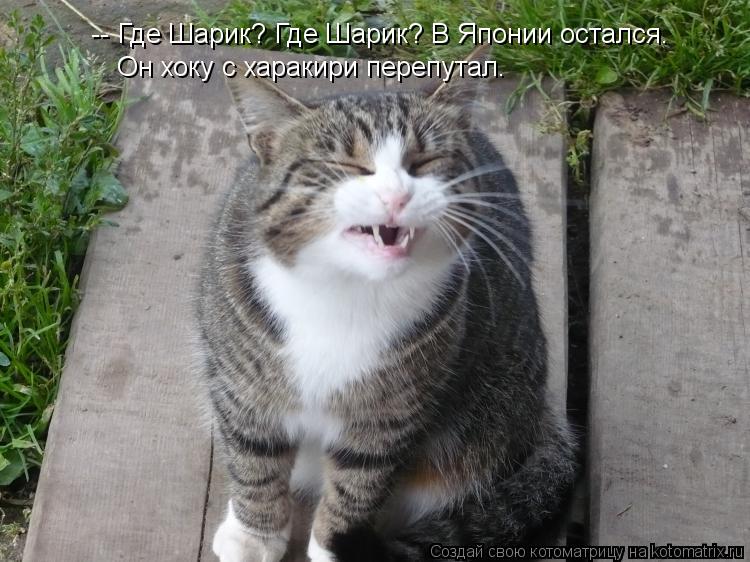 -- Где Шарик? Где Шарик? В Японии остался. Он хоку с харакири перепутал.... Котоматрица: -- Где Шарик? Где Шарик? В Японии остался. Он хоку с харакири перепутал.