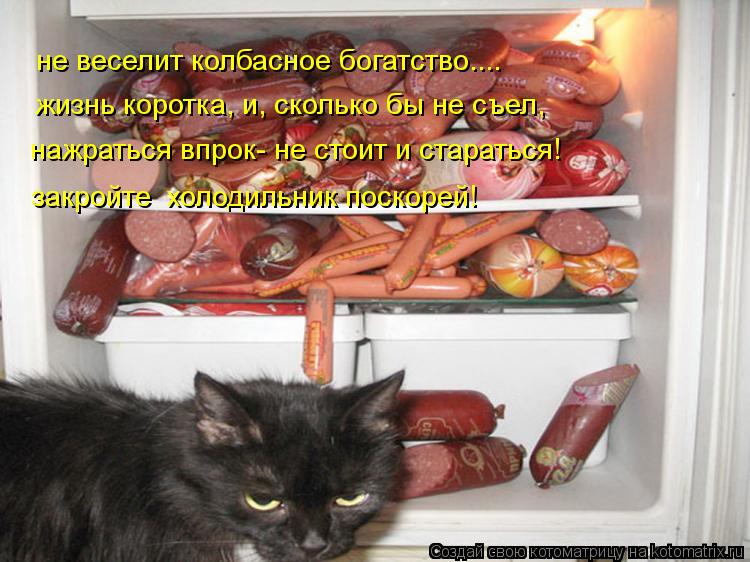 не веселит колбасное богатство.... жизнь коротка, и, сколько бы не съел, нажраться впрок- не стоит и ... Котоматрица: не веселит колбасное богатство.... жизнь коротка, и, сколько бы не съел, нажраться впрок- не стоит и стараться! закройте холодильник поскорей