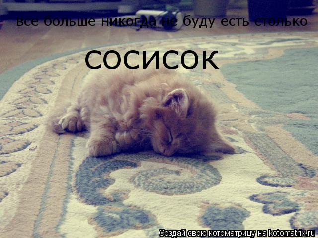 все больше никогда не буду есть столько сосисок... Котоматрица: все больше никогда не буду есть столько сосисок